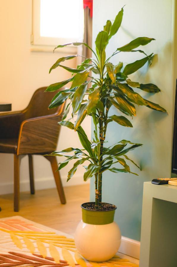 Bright Apartment Close To City Center Tirana Extérieur photo